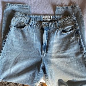Claudia Distressed Mom Jean